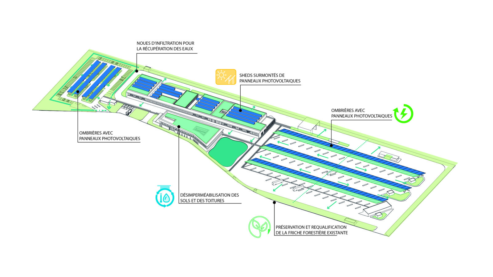 Les sols comme les toitures sont traités pour porter les ambitions écologiques du site.